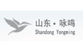山东咏鸣网络科技成立于2010年，公司位于美丽的风筝之都潍坊，地理位置优越，交通便利，是一家集网络工程、安防工程等智能化项目配套安装类产品的研发及生产为一体的公司，公司主要产品有室外箱柜系列、组合式立杆、监控杆、监控支架等系列产品，覆盖环保监测系统、供电系统、通信系统、控制系统、视频